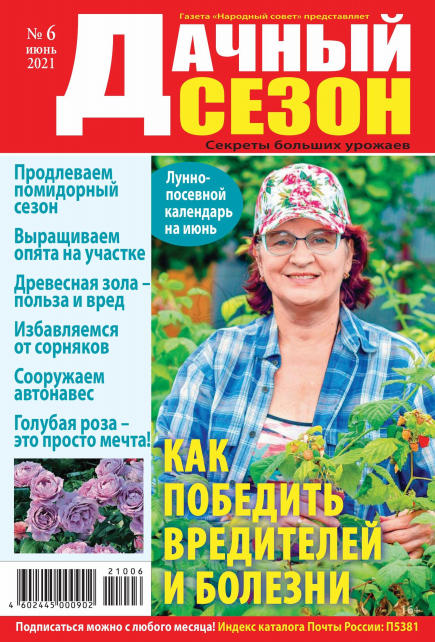 Дачный сезон №6, июнь 2021