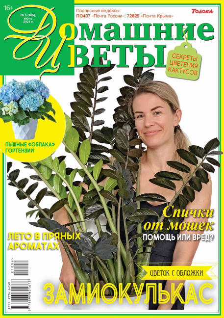Домашние цветы №6, июнь 2021