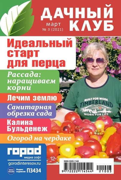 Дачный клуб №3, март 2021