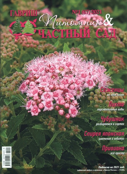 Питомник и частный сад №1, январь 2021