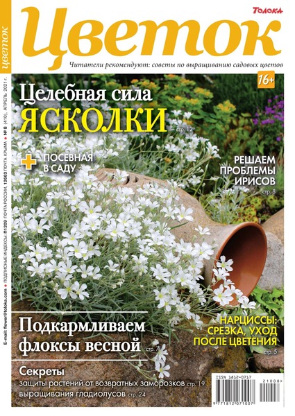 Цветок №8, апрель 2021
