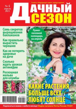 Дачный сезон №4, апрель 2021