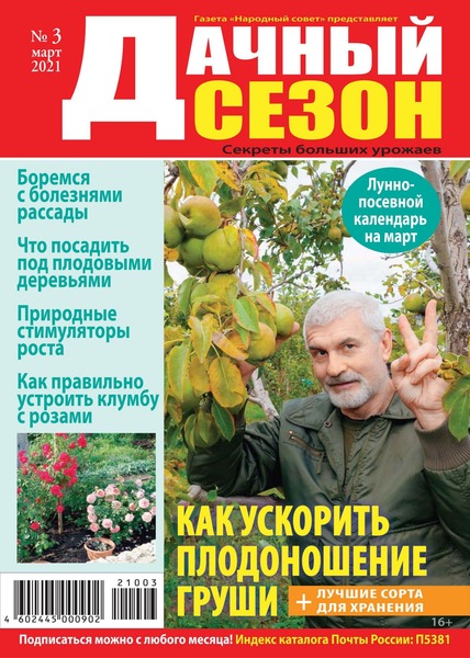 Дачный сезон №3, март 2021