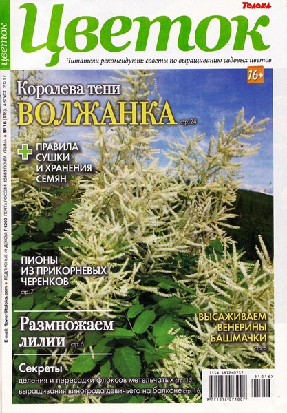 Цветок №16, август 2021