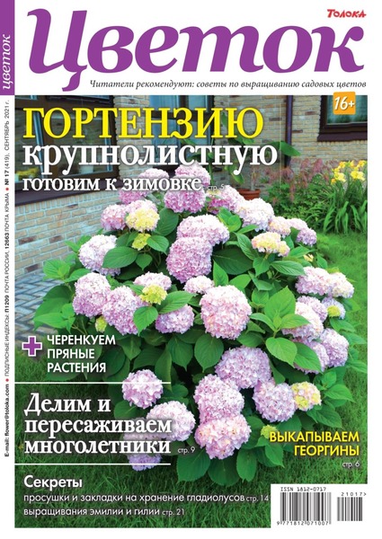 Цветок №17, сентябрь 2021