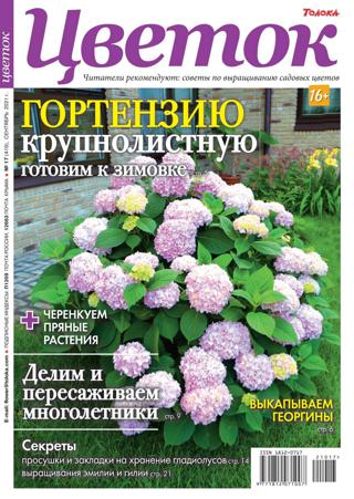Цветок №17 (сентябрь/2021)