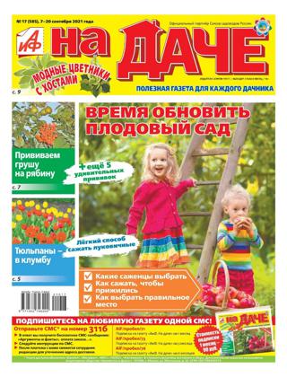 АиФ На даче №17 (сентябрь/2021)