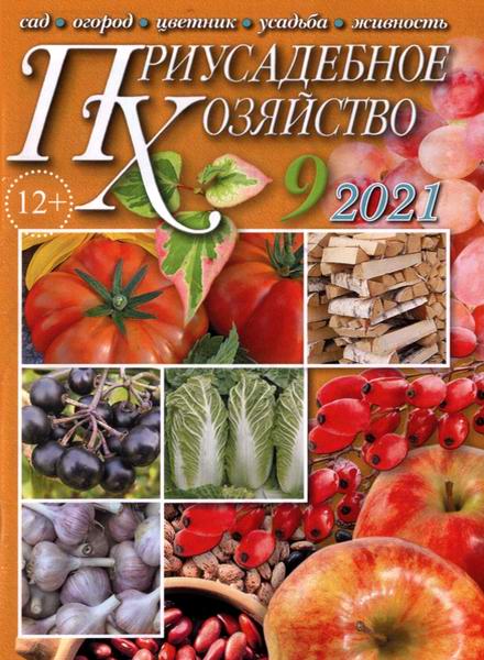 Приусадебное хозяйство №9, сентябрь 2021