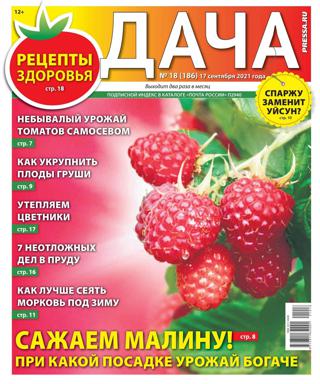 Дача №18 (сентябрь/2021)
