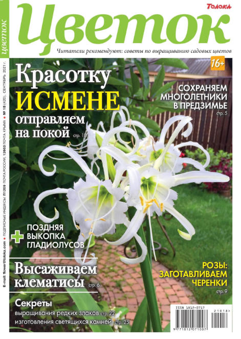 Цветок №18, сентябрь 2021
