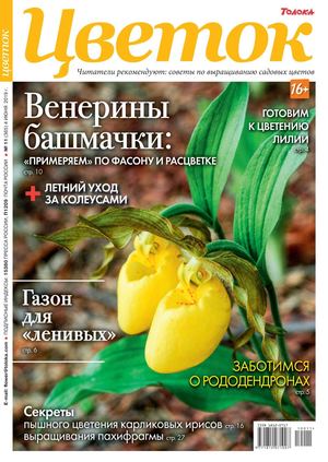 Цветок №11, июнь 2019