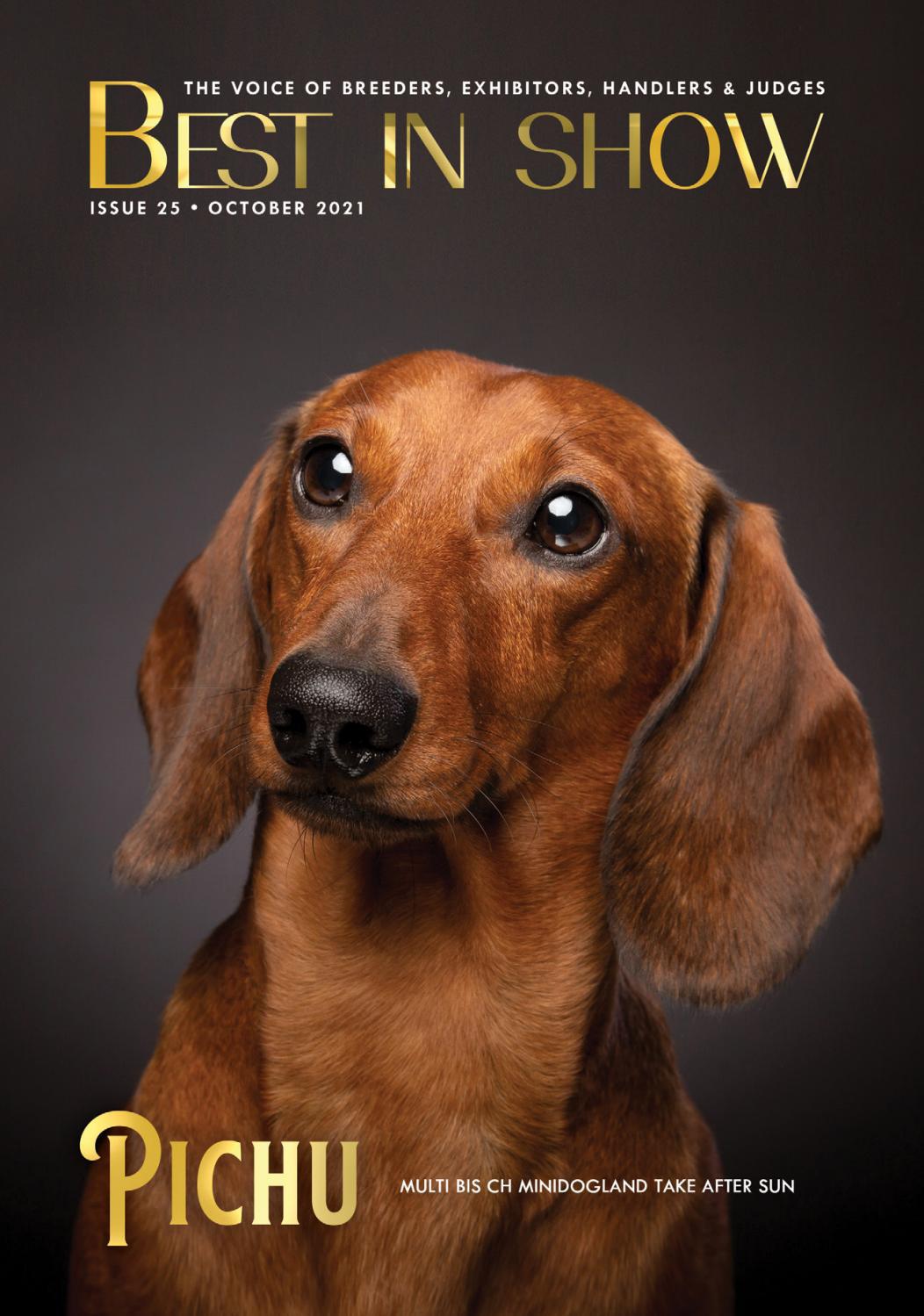 Best in Show Magazine, October 2021