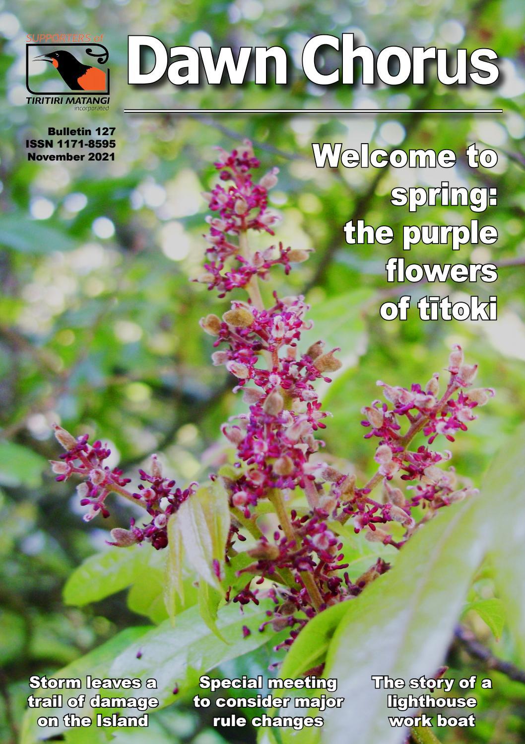 Dawn Chorus 127, November 2021, the magazine of the Supporters of Tiritiri Matangi