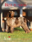 Best in Show Magazine USA • December 2021