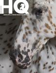 HQ Magazine Issue 157b