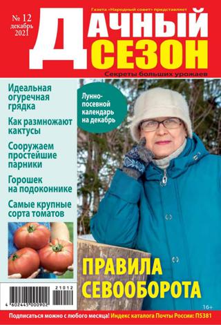 Дачный сезон №12 (декабрь/2021)