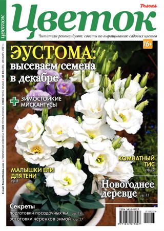 Цветок №23 (декабрь/2021)