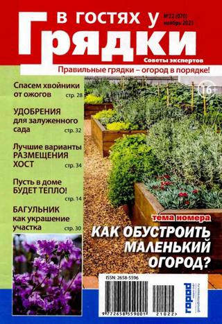 В гостях у грядки №22 (ноябрь/2021)