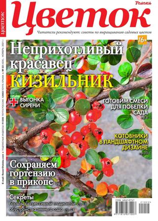 Цветок №22 (ноябрь/2021)