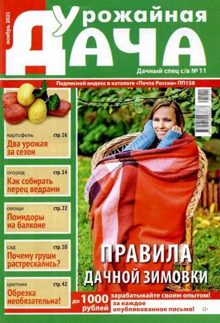 Дачный спец Спецвыпуск Урожайная дача №11 (ноябрь/2021)