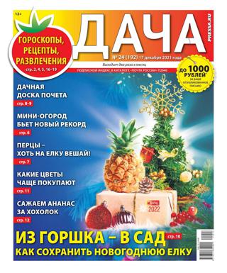 Дача №24 (декабрь/2021)