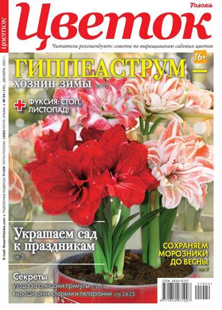 Цветок №24 (декабрь/2021)