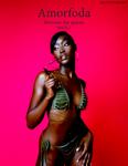 Amorfoda Magazine Issue 2: Between the spaces