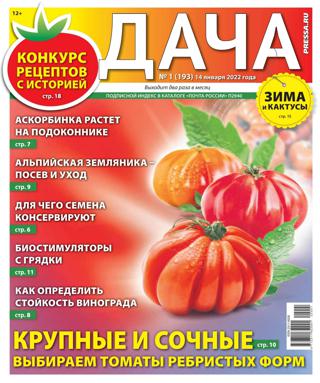 Дача №1 (январь/2022)