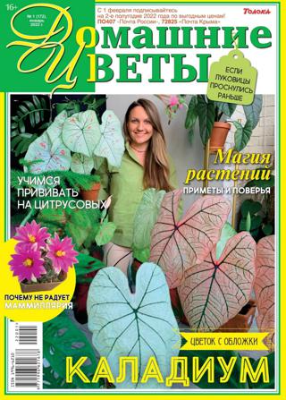 Домашние цветы №1 (январь/2022)