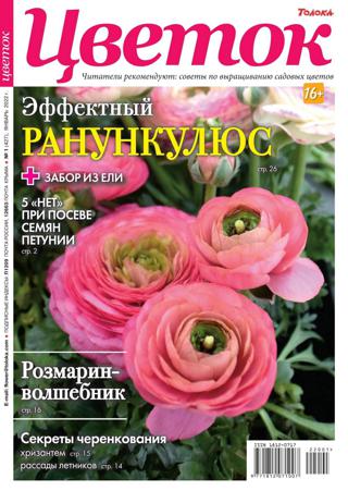Цветок №1 (январь/2022)