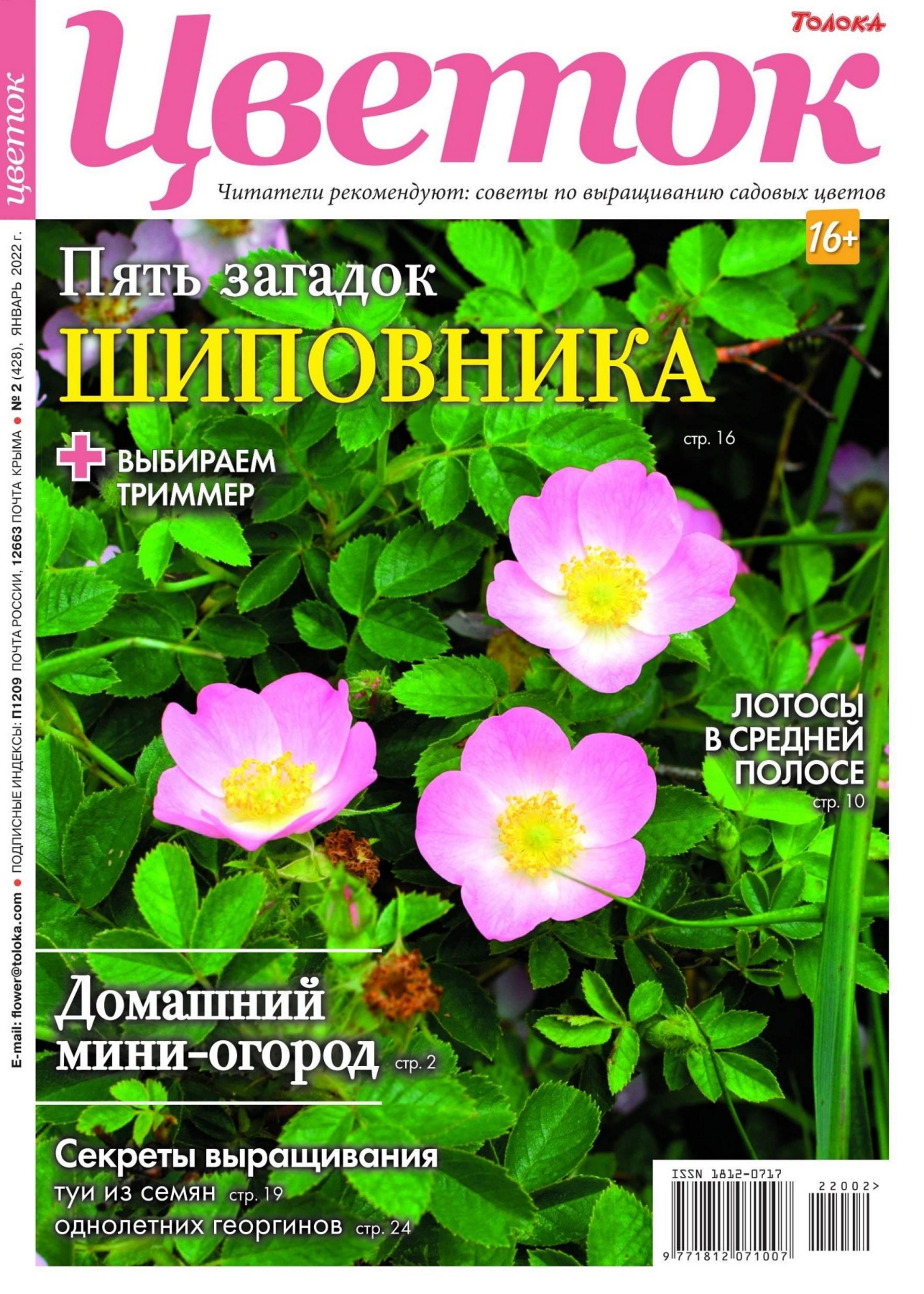 Цветок №2 (январь/2022)
