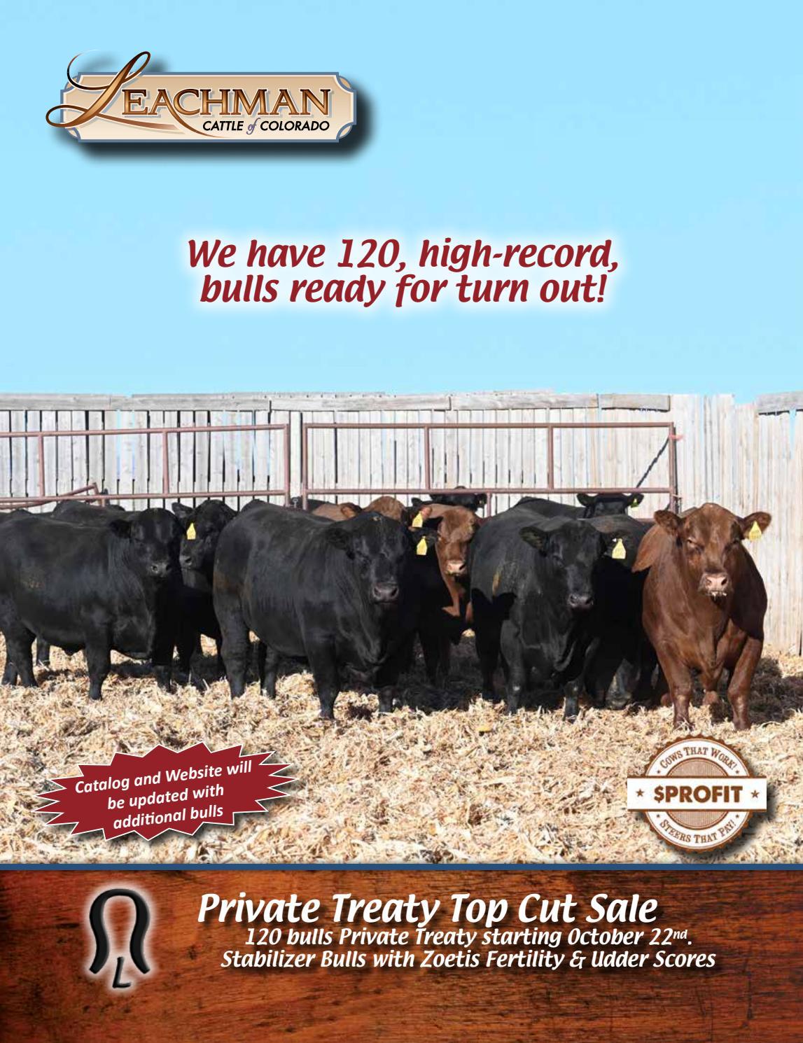 Leachman Top Cut Sale