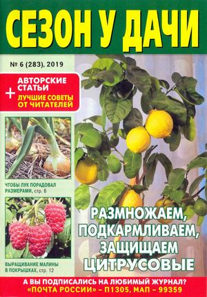 Сезон у дачи №6, март 2019