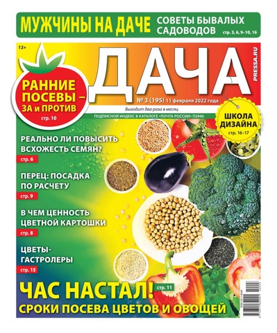 dacha032022