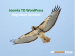 Wordpress services
