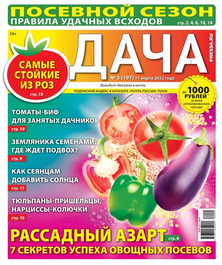 Дача №5, март 2022