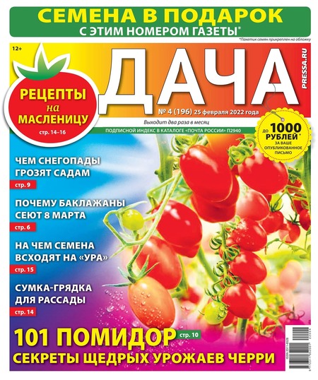 Дача №4, февраль 2022