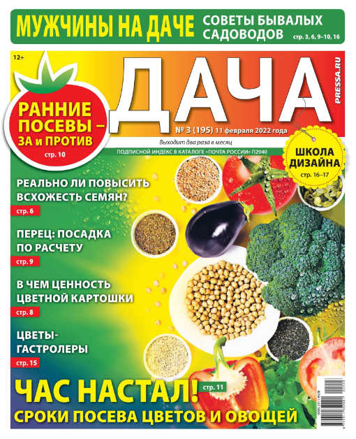 Дача №3, февраль 2022