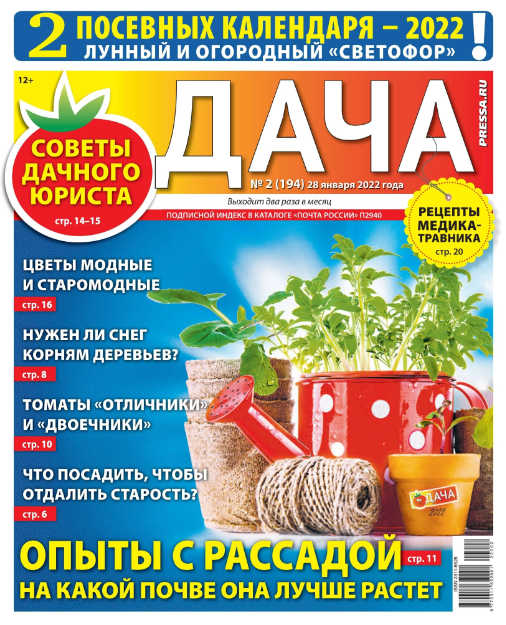 Дача №2, январь 2022