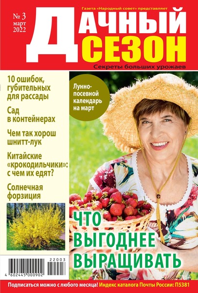 Дачный сезон №3, март 2022