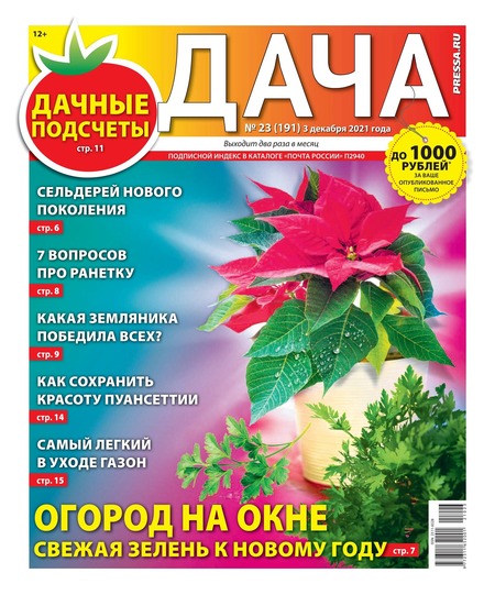 Дача №23, декабрь 2021