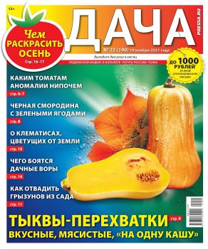 Дача №22, ноябрь 2021