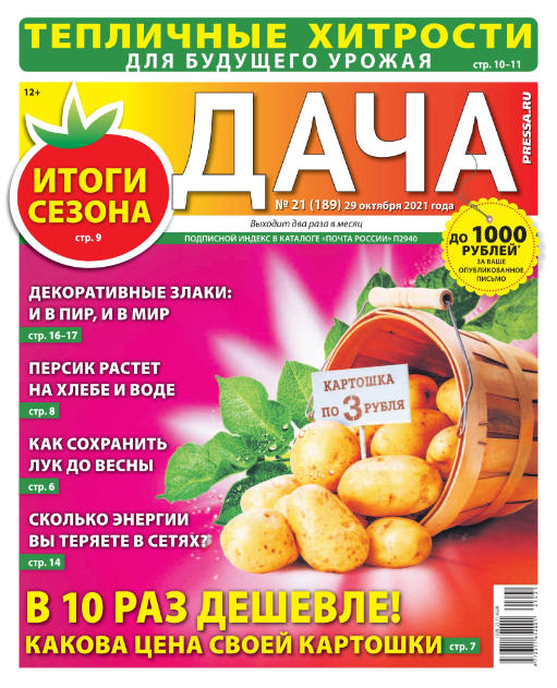 Дача №21, октябрь - ноябрь 2021