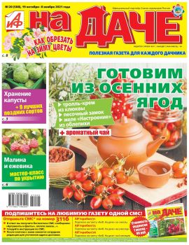 АиФ. На даче №20, октябрь - ноябрь 2021