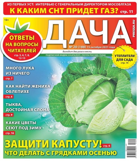 Дача №20, октябрь 2021