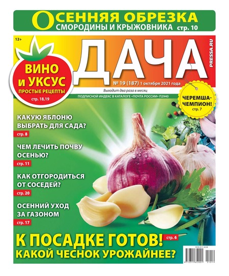 Дача №19, октябрь 2021