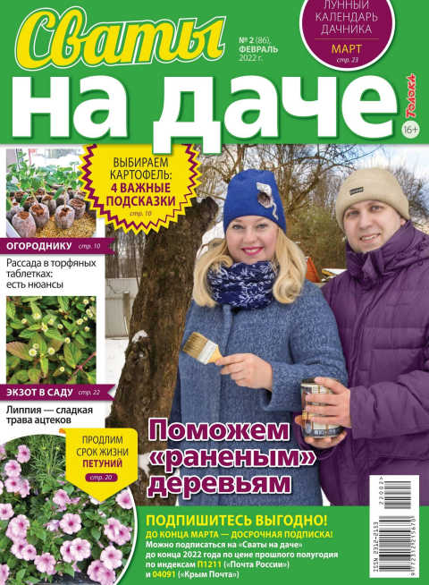 Сваты. На даче №2, февраль 2022