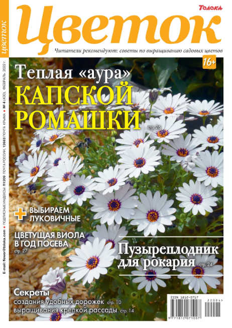 Цветок №4, февраль 2022