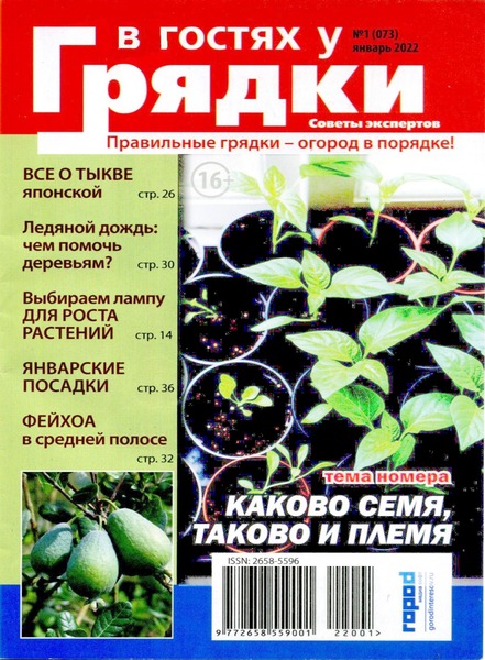 В гостях у грядки №1, январь 2022
