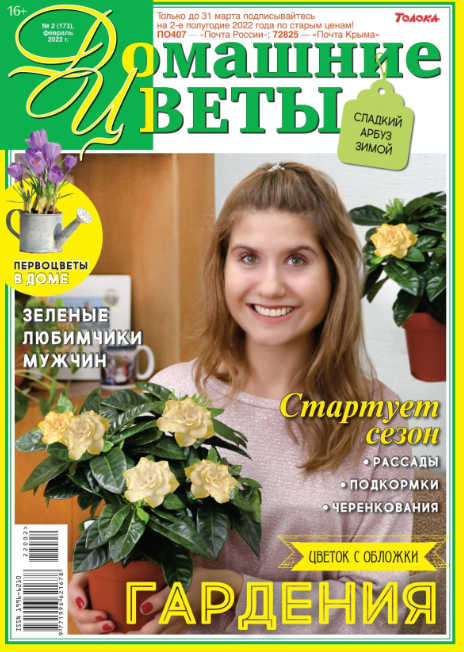Домашние цветы №2, февраль 2022